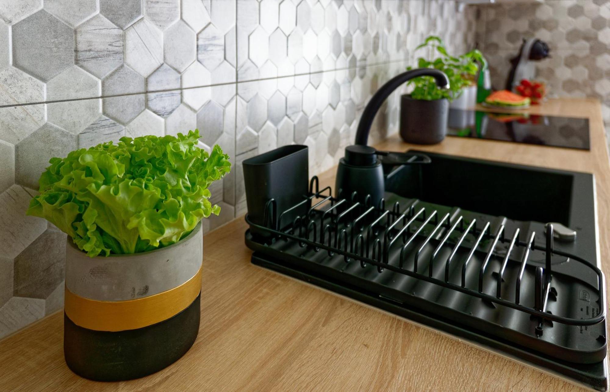 Przytulny Apartament Z Ogrodkiem W Doskonalej Lokalizacji Fair Rentals Wroclaw Luaran gambar